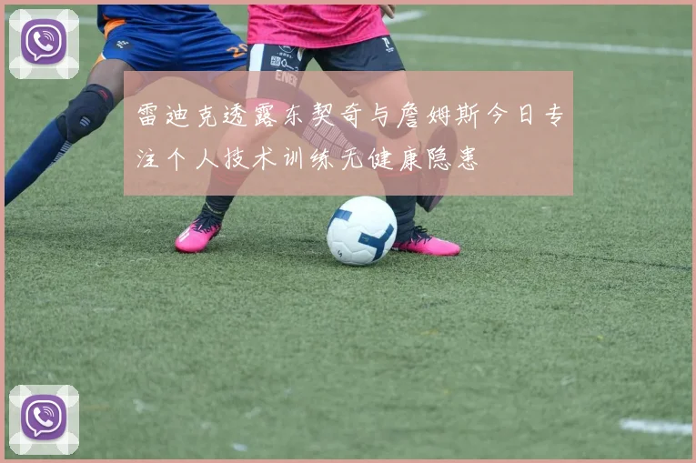 雷迪克透露东契奇与詹姆斯今日专注个人技术训练无健康隐患