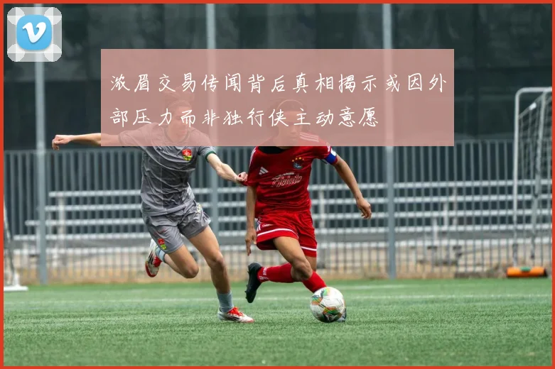 浓眉交易传闻背后真相揭示或因外部压力而非独行侠主动意愿
