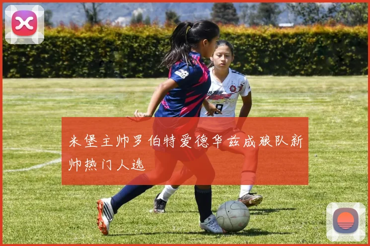 米堡主帅罗伯特爱德华兹成狼队新帅热门人选